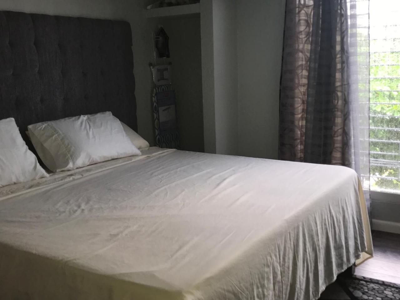 Abacus Jamaica The Zana Suites كينغستون المظهر الخارجي الصورة