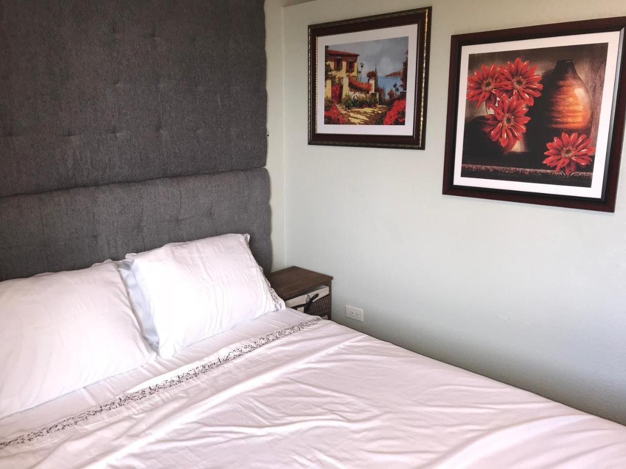 Abacus Jamaica The Zana Suites كينغستون المظهر الخارجي الصورة