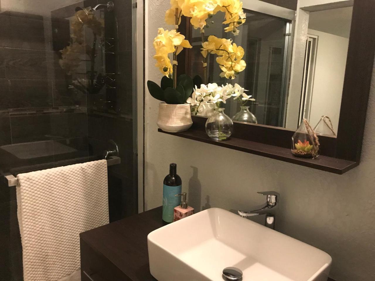 Abacus Jamaica The Zana Suites كينغستون المظهر الخارجي الصورة