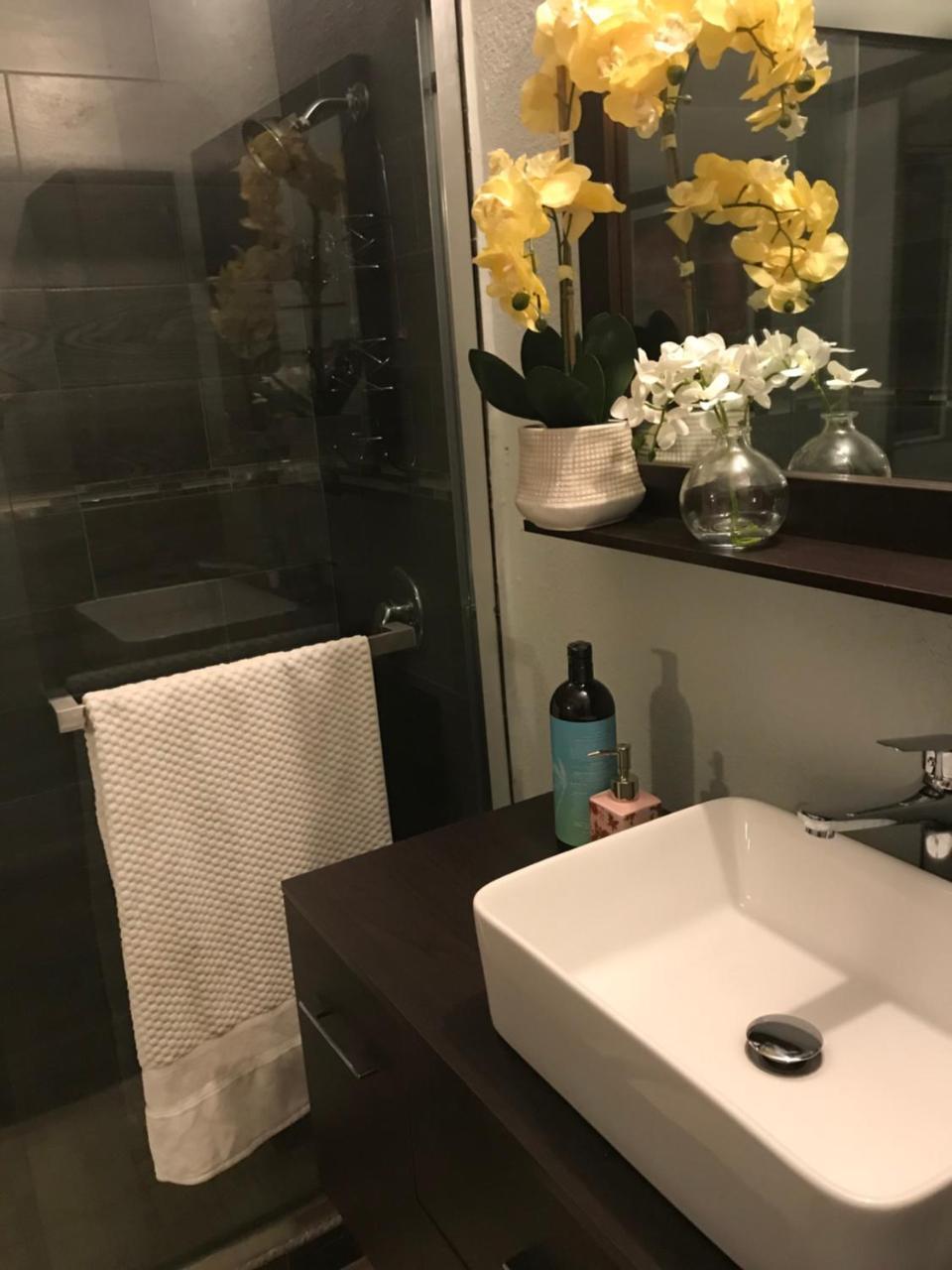 Abacus Jamaica The Zana Suites كينغستون المظهر الخارجي الصورة