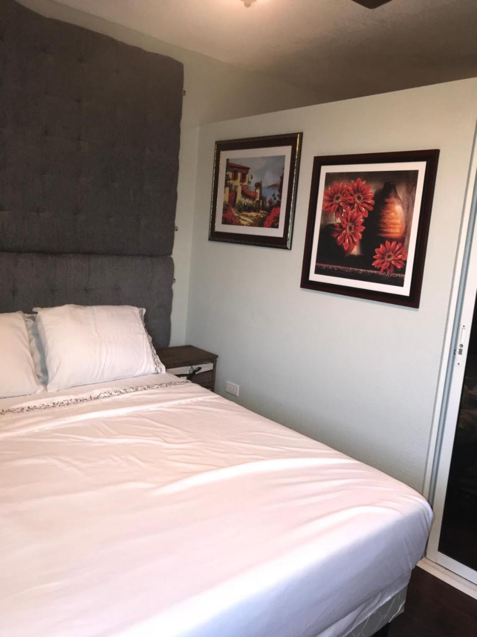 Abacus Jamaica The Zana Suites كينغستون المظهر الخارجي الصورة