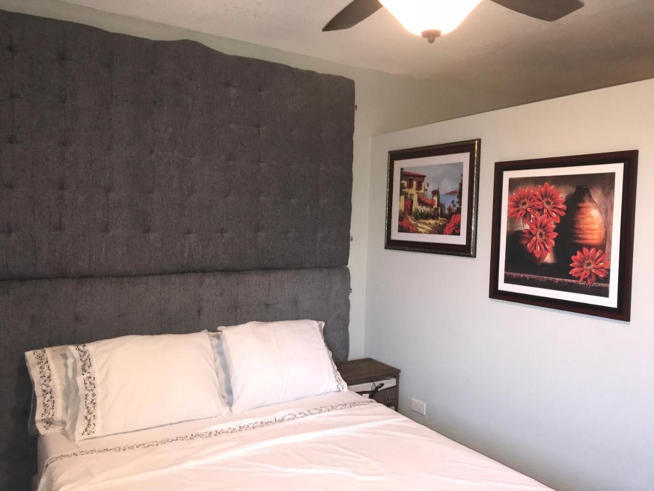 Abacus Jamaica The Zana Suites كينغستون المظهر الخارجي الصورة