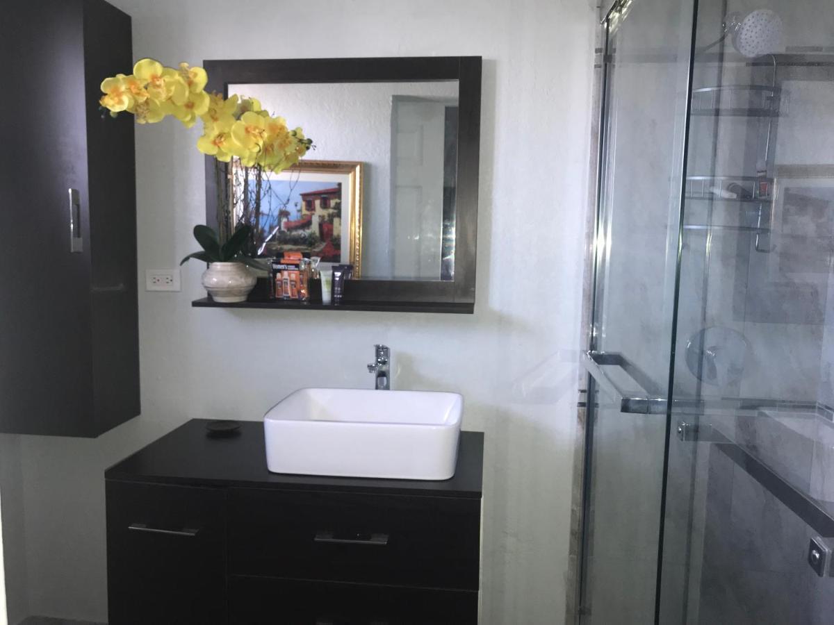 Abacus Jamaica The Zana Suites كينغستون المظهر الخارجي الصورة